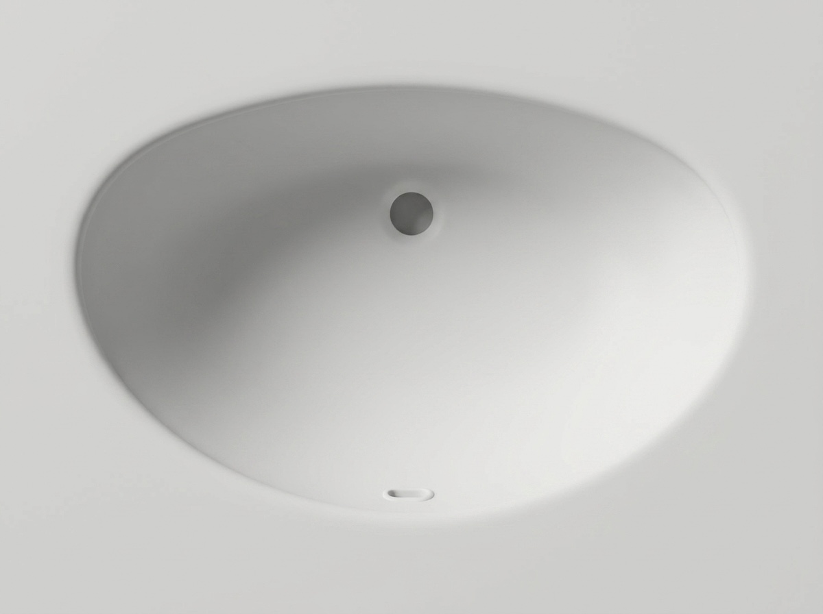 3D-модель гладкой овальной раковины